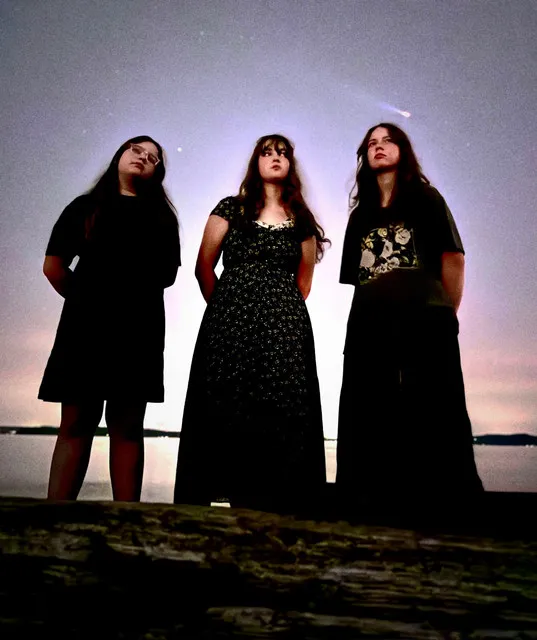The three members of Sad Dad Autumn standing on a log at the water at dusk.